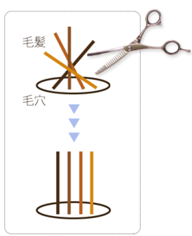 mechanism_img.png
